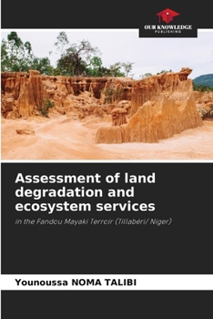 Paperback Assessment of land degradation and ecosystem services Book