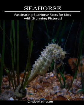 SeaHorse: Fascinating SeaHorse Facts for Kids with Stunning Pictures!