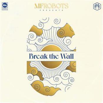 Vinyl Break The Wall Book