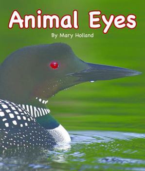 Hardcover Animal Eyes Book