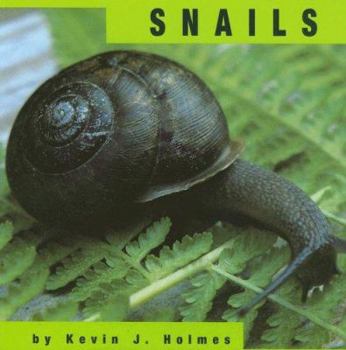 Paperback Snails Book