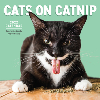 Calendar Cats on Catnip Wall Calendar 2022 Book