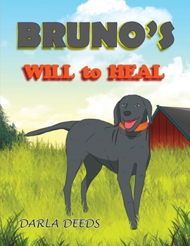 Paperback Bruno's Will to Heal Book