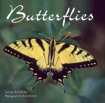 Hardcover Butterflies Book