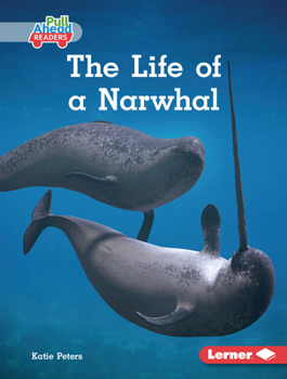 Library Binding The Life of a Narwhal Book