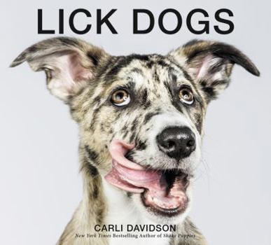 Hardcover Lick Dogs Book