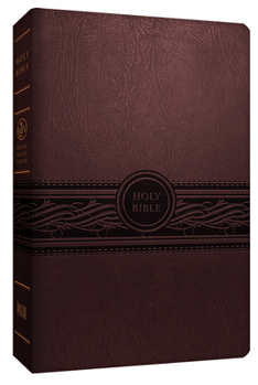 Imitation Leather Personal Size Large Print Bible-Mev [Large Print] Book