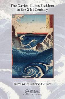 Hardcover The Navier-Stokes Problem in the 21st Century Book
