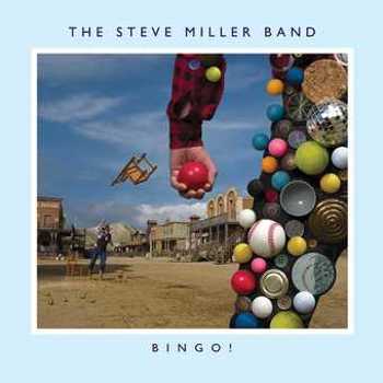 Vinyl Bingo! (LP) Book