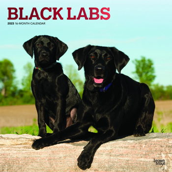 Calendar Labrador Retrievers, Black 2023 Square Foil Book