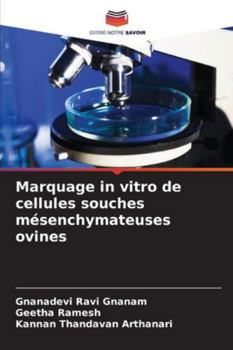 Paperback Marquage in vitro de cellules souches mésenchymateuses ovines [French] Book