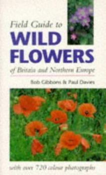 Paperback Field Guide to Wild Flowers of Britain and Northern Europe Book
