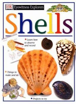 Eyewitness Explorers: Shells - Book  of the Eyewitness Explorers