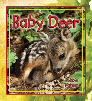 Hardcover Baby Deer Book