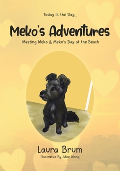 Today Is the Day...: Meko's Adventures - Meeting Meko & Meko's Day at the Beach