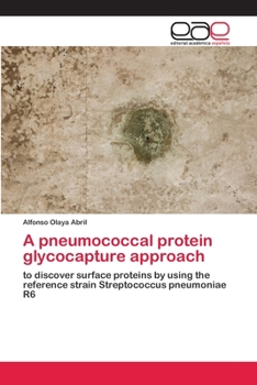 Paperback A pneumococcal protein glycocapture approach [Spanish] Book
