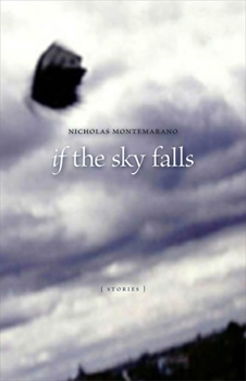 Paperback If the Sky Falls: Stories Book