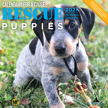 Calendar Cal 2021- Rescue Puppies Wall Book
