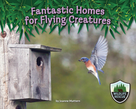 Library Binding Fantastic Homes for Flying Creatures Book