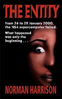 Paperback The Entity Book