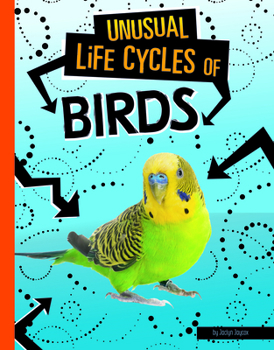 Hardcover Unusual Life Cycles of Birds Book