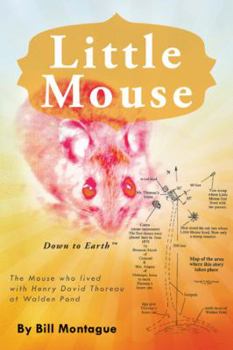 Paperback Little Mouse Book