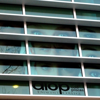 Paperback Art in Odd Places: Endicott Book