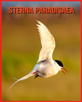 Paperback Sterna Paradisaea: Fatti di apprendimento divertenti sui Sterna Paradisaea [Italian] Book