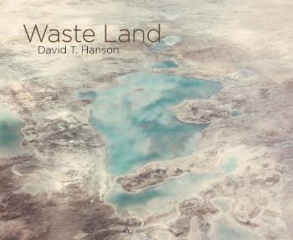 Hardcover David T. Hanson: Waste Land Book