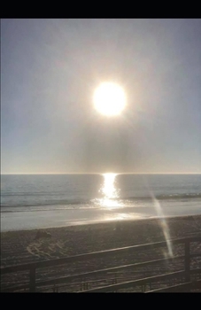 Paperback Sukari's Shadow Book