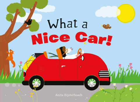 Hardcover What a Nice Car! Book