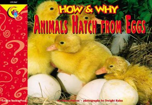 Paperback How and Why Animals Hatch from Eggs (How and Why Series) Book