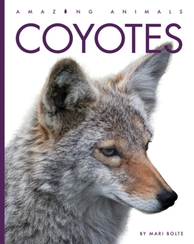 Los coyotes (Spanish Edition)