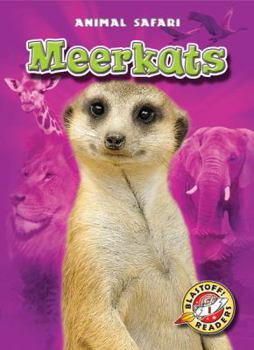 Library Binding Meerkats Book