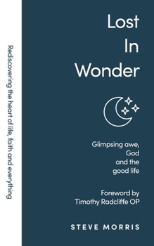 Paperback Lost in Wonder: Glimpsing Awe, God and the Good Life (Rediscovering Faith Life And Everything) Book