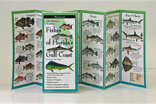 Pamphlet Fishes of the Florida's Gulf Coast Book