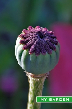 My Garden : Poppy Seed Capsule. Garden Notes, Garden Log Book, Garden Diary, Oecological Gardening. Format A5, 120 Pages, Fine Grey Lined. Journal, Diary, Notebook and Garden Planner for Everything Th