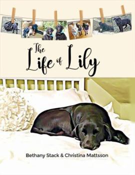 Hardcover The Life of Lily Book