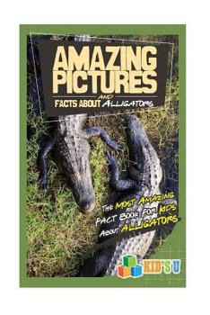 Paperback Amazing Pictures and Facts about Alligators: The Most Amazing Fact Book for Kids about Colosseum Book