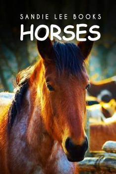 Paperback Horses - Sandie Lee Books Book