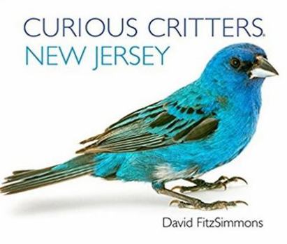 Board book Curious Critters New Jersey Book