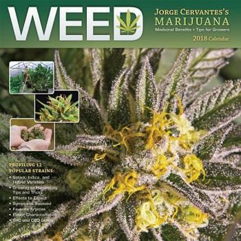 Weed Jorge Cervantes' Marijuana 2018 12 x 12 Inch Monthly Square Wall Calendar, Cannabis Pot Herb 420 Growing