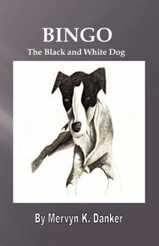 Bingo: The Black and White Dog