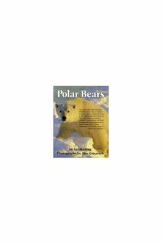 Paperback Polar Bears Book