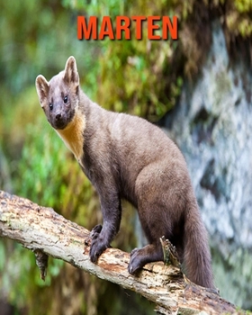 Paperback Marten: Amazing Facts about Marten Book