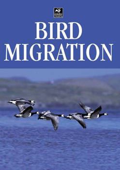 Bird Migration (Birdwatcher's Guide)