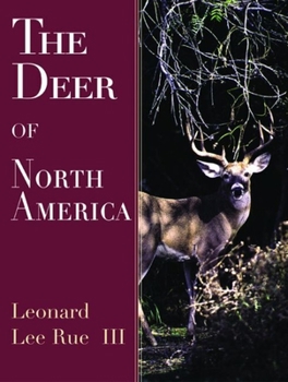 Paperback Doom in the Deep: An Extraordinary Storm, a Miraculous Survival Book
