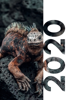 2020: Secret santa gifts for veterinarians Cool Planner Calendar Organizer Daily Weekly Monthly Student Diary for research on best souvenirs from Galapagos Iguana