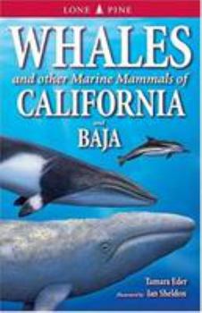 Paperback Whales and Other Marine Mammals of California and Baja Book