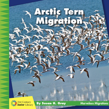 Paperback Arctic Tern Migration Book